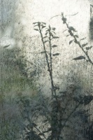 Claude B DSC00513-1.jpg