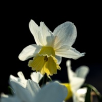 Claude B DSC00533-1.jpg