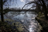 Claude B DSC00571-1.jpg