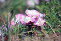 Richard GIBERT-IMG_9033P1.jpg