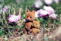 Richard GIBERT-IMG_9036P1.jpg