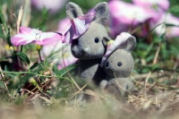 Richard GIBERT-IMG_9041P1.jpg