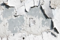 Edith Cornet texture (1).jpg