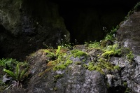 bissardon-suzanne-Gorges pont du diable La Vernaz Chablais (3).jpg