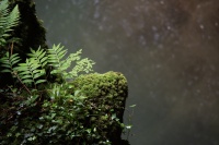 bissardon-suzanne-Gorges pont du diable La Vernaz Chablais (7).jpg