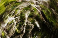 philippe-rouyer-IMC 1.jpg