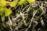 philippe-rouyer-IMC 2.jpg