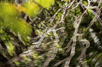 philippe-rouyer-IMC 3.jpg