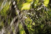 philippe-rouyer-IMC 4.jpg