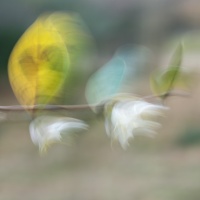 OIL CT 07022026-IMG_2379.jpg