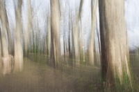 guy_Brechon_ICM (5).jpg