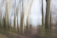 guy_Brechon_ICM (7).jpg