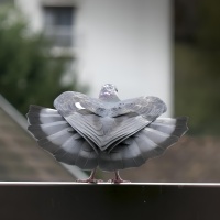 6 OIL CT pigeon-2972-3.jpg