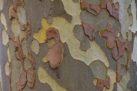 Christophe Textures soirée 7avril 3.jpg