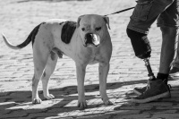 BOUCHARD VIVIANE 2.jpg