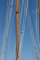 BOUCHARD VIVIANE 3.jpg