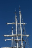 BOUCHARD VIVIANE 4.jpg