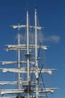 BOUCHARD VIVIANE 5.jpg