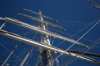 BOUCHARD VIVIANE 6.jpg