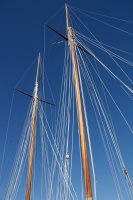 BOUCHARD VIVIANE 7.jpg