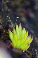 DavidB__DSC9407_20260509_Z6III_0023_2.jpg