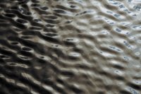 rouyer-philippe-vaguelettes lac Finlande 4.jpg