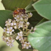 ch-deal-macro-02.jpg