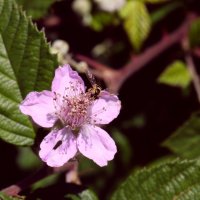 ch-deal-macro-04.jpg