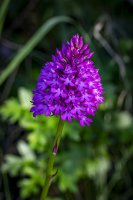 CP_MG_9783.jpg