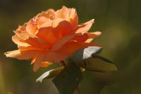 Geneviève Rome_IMG8122R2.jpg