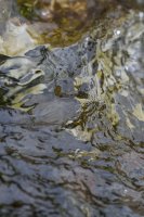 OIL CT 11 14052024-IMG_0187-3.jpg