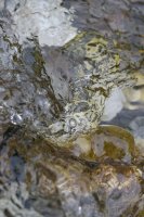 OIL CT 13 14052024-IMG_0189-3.jpg