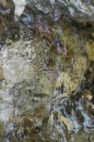 OIL CT 14 14052024-IMG_0196.jpg