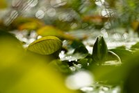 _ZSC6348_parcttdor_jlLeblanc.jpg