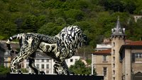 philippe rouyer lions à Lyon 1.jpg