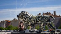 philippe rouyer lions à Lyon 3.jpg