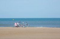 _C_S9155.jpg