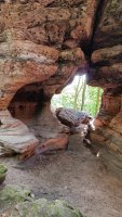 alain_forest_1_IMG20260720104304.jpg