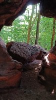 alain_forest_1b_IMG20260720104320.jpg
