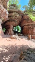 alain_forest_2_IMG20260720104111.jpg