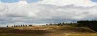 Fleury_DSC0462-1.jpg