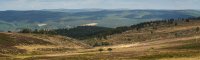 Fleury_DSC0464-1.jpg