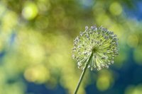DavidB_DSC3974_20260710_Z6III_D0027.jpg